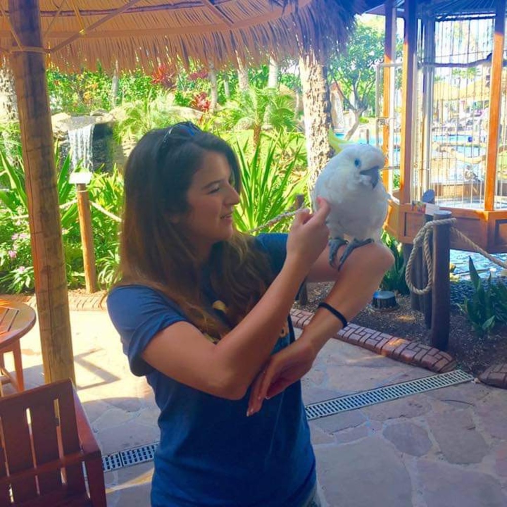 Meet your Posher, Sandy